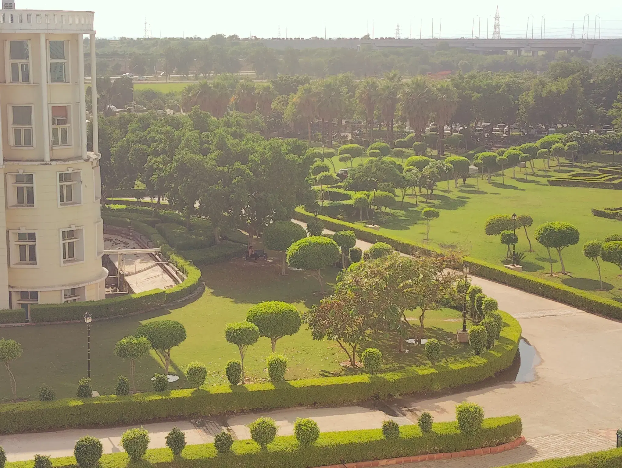 NIU Noida Campus photo 37